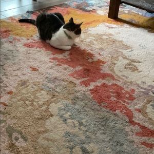 Meet your Posher, Linda